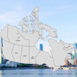 Security Company Licensing Requirements in Canada: A Comprehensive Guide by Province